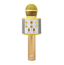 Detský karaoke mikrofón LTC LXMIC100R Gold