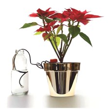 Flowerpot watering can IDOZ 2 pcs