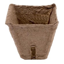 Planter Herrison 6x6cm 20pcs/pack.