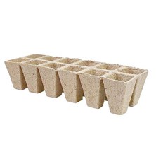 Planter STREND PRO 255370 2x6cm 3pcs